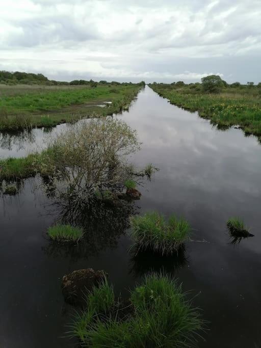 Gite A Saint Andre Des Eaux Eksteriør billede